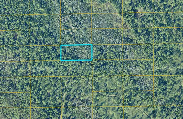 Ormond Beach, Florida - 1.25 Acres