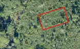 Pierson, Florida - Residential Lot in Volusia County