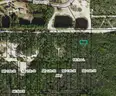 Carrabelle, Florida - Vacant Lot in Florida Panhandle - Minutes to Gulf & Beaches!
