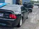 1999 Ford Mustang