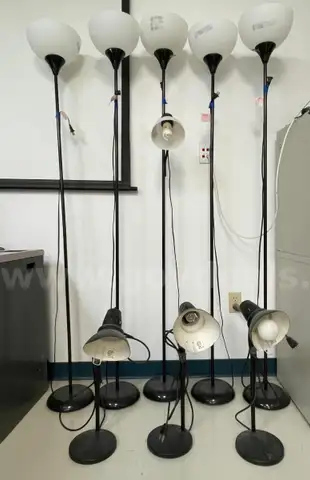 5 tall lights and 3 short lights