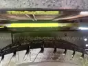 2006 Chevrolet Silverado 2500HD