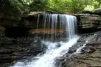 Attention Investors. Residential Land Lot in Booming Bella Vista, Arkansas.