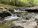 Prime Half-Acre Build Lot in Saw Creek Estates &#x2014; Woods, Privacy &#x26; Resort Amenities