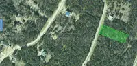 Holiday Island Lot on Hickory Ln &#x2013; 0.45 Acre Wooded Homesite by Lake &#x26; Marina &#x2013; Deep Discount