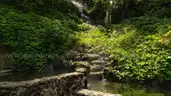 Build Your Dream Home or Vacation Getaway &#x2013; 0.26-Acre Residential Land Lot on Cordoba Way, Minutes from Lakes &#x26; Golf