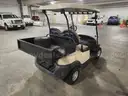 Club Car Precedent - electric