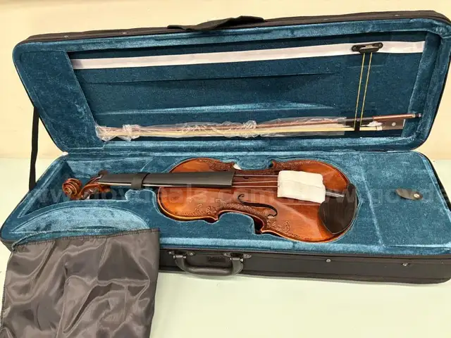 Violin in Case