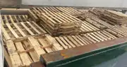 Lot of 700(+/-) Wood Pallets: San Antonio PSA