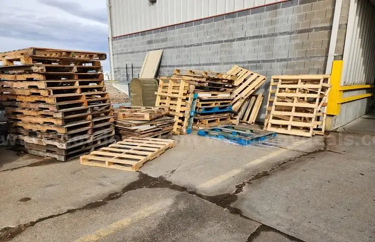 Wooden Pallets (Lot of 50+)