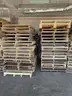 LOT of 200+ Wooden Pallets