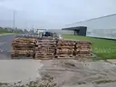 LOT of 40 Wooden Pallets