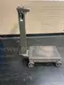 Fairbanks Rolling Scale - 100 LB Capacity
