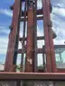 1988 TAYLOR TYC-5200L 50200LB PNEUMATIC TIRE FORKLIFT