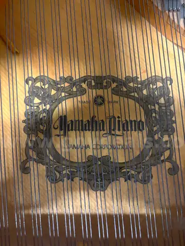 Yamaha Baby Grand Piano with Player System – On Wheels – Used