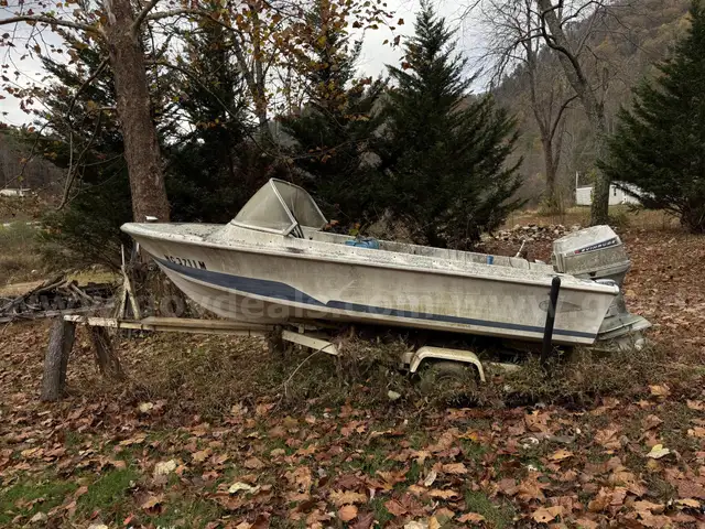 Larson Lapline Boat