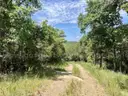 0.23 Acre Secluded, Wooded Corner Lot in Briarcliff, Arkansas