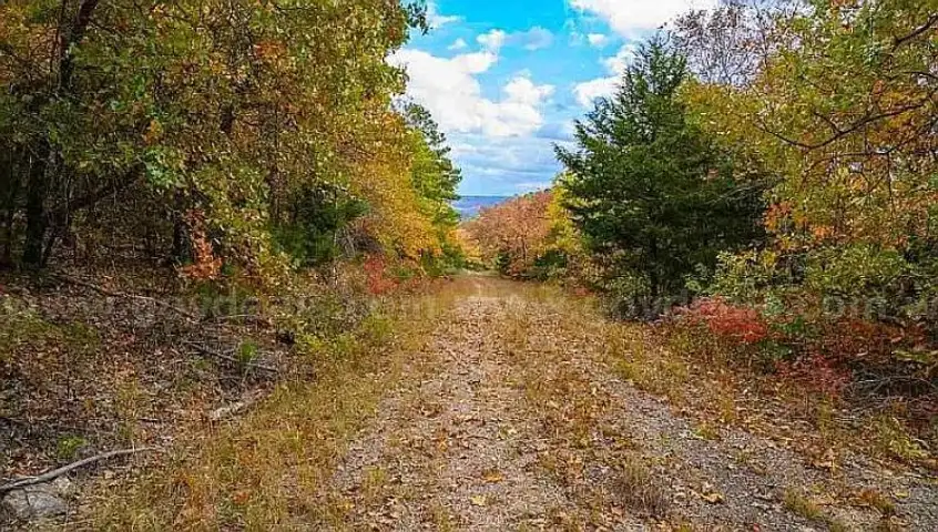 0.23 Acre Secluded, Wooded Corner Lot in Briarcliff, Arkansas