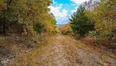 0.23 Acre Secluded, Wooded Corner Lot in Briarcliff, Arkansas