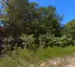 0.23 Acre Wooded, Private, Briarcliff, Arkansas Lot