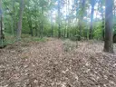 Beautiful Buildable La Viejo Place, Hot Springs Village Arkansas Lot