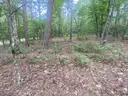 Beautiful Buildable La Viejo Place, Hot Springs Village Arkansas Lot