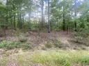 Beautiful Buildable La Viejo Place, Hot Springs Village Arkansas Lot