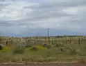 Attractive West Texas Dream in La Hacienda Estates 4.51 Acre Homesite w/Roads &#x26; Power Lots 735 &#x26; 736