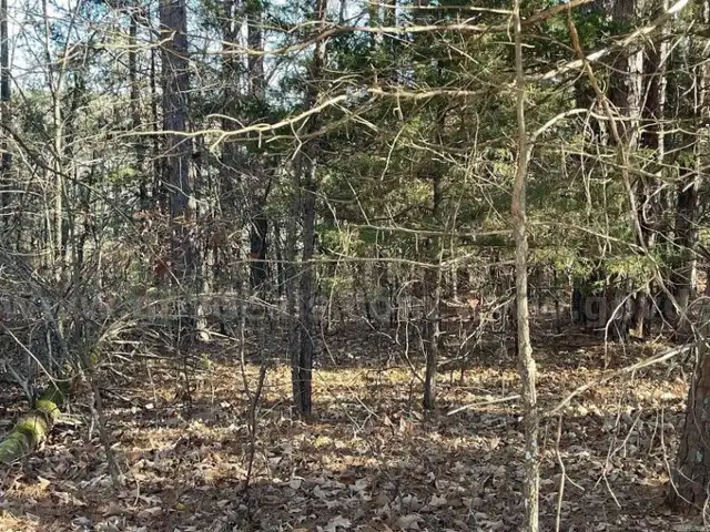 Indian Rock Resort-Style Corner Lot in Fairfield Bay