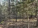 Indian Rock Resort-Style Corner Lot in Fairfield Bay