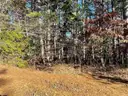 Indian Rock Resort-Style Corner Lot in Fairfield Bay