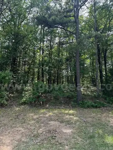 Serene Dave Creek Pkwy Area Wooded Lot in Fairfield Bay, Arkansas in Van Buren County