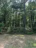 Serene Dave Creek Pkwy Area Wooded Lot in Fairfield Bay, Arkansas in Van Buren County