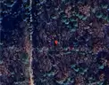 Serene Dave Creek Pkwy Area Wooded Lot in Fairfield Bay, Arkansas in Van Buren County