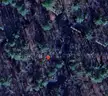 Picturesque 0.31 Acre Quijote Circle Lot in Hot Springs Village
