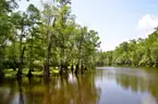Pascagoula River Area Wooded Corner Lot