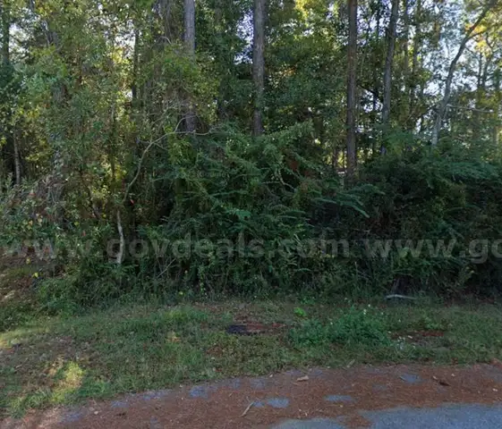 Pascagoula River Area Wooded Corner Lot