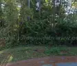 Pascagoula River Area Wooded Corner Lot