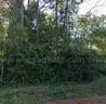 Pascagoula River Area Wooded Corner Lot