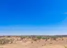 Incredible 51-Acre Country Paradise in the Findlay Mountains, Texas