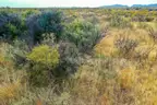 Incredible 51-Acre Country Paradise in the Findlay Mountains, Texas