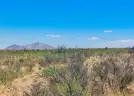 Incredible 51-Acre Country Paradise in the Findlay Mountains, Texas