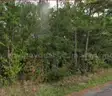 Beautiful Wooded Ocean Springs 0.29 acre Lot