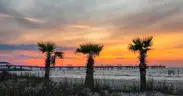 Wooded Bayside Park Lot on Paved Street, in Mississippi Gulf Coast