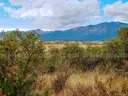Pleasing Greenhorn Meadows Park Mountain Retreat