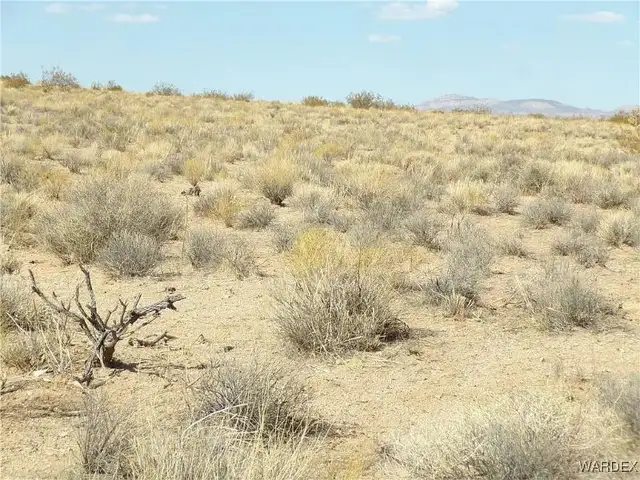 Enchanting Valle Vista Mohave Arizona 0.2 Acre Lot 5961