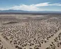 Impressive 10.5-Acre Parcel Near El Paso off Mosley Rd, 12E