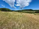 Incredible 0.26-Acre Buildable Lot in Colorado City with Road Frontage, Power and Water
