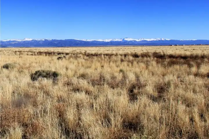 Prime San Acacio, Colorado Land with Power and Water at 7100&#x27; Elevation Lot 5