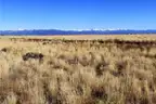 Prime San Acacio, Colorado Land with Power and Water at 7100&#x27; Elevation Lot 5